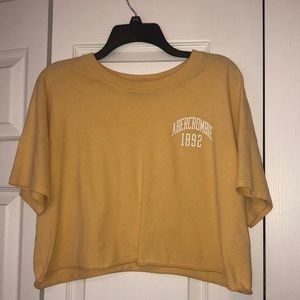 Abercrombie + Fitch Cropped Tee